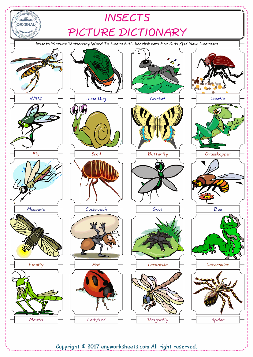  Insects English Worksheet for Kids ESL Printable Picture Dictionary 